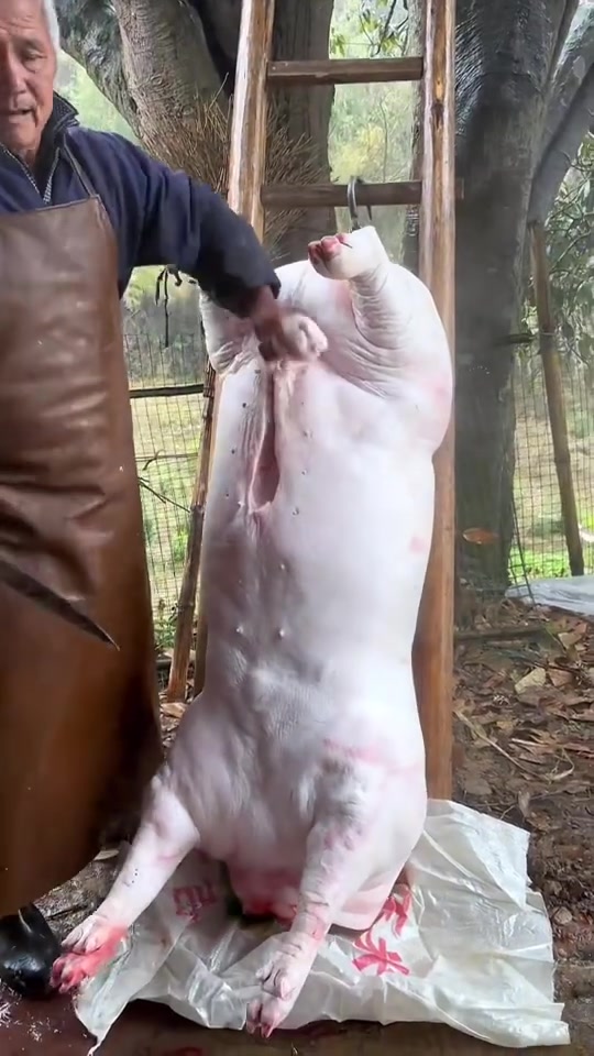 杀猪过程，那块为什么不要呢