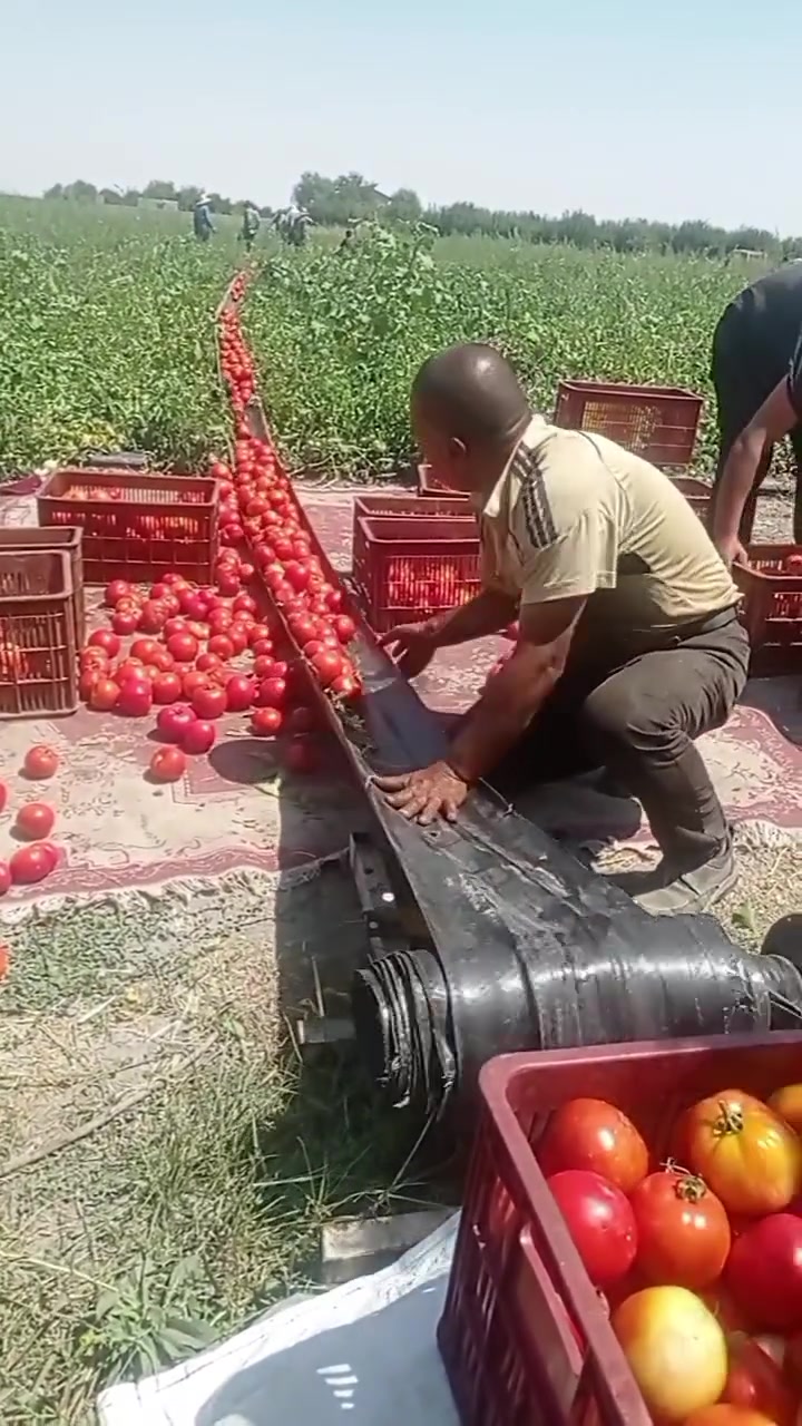 方法挺好的，最后那一下果子不会坏吗