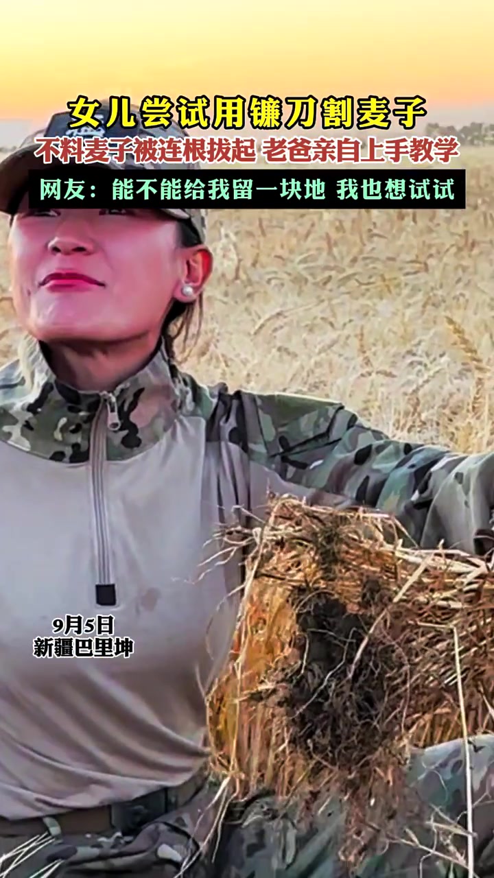 这样割麦你爸爸没打你算是很爱你的了！