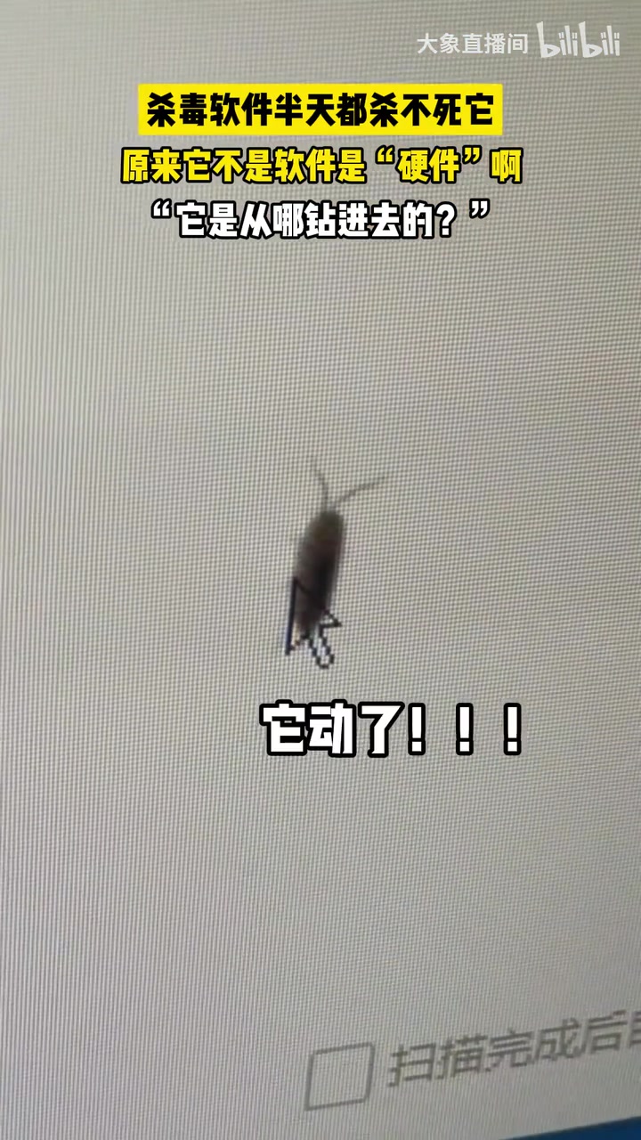 杀毒软件半天都杀不死它，看到它动的那一刻我崩溃了