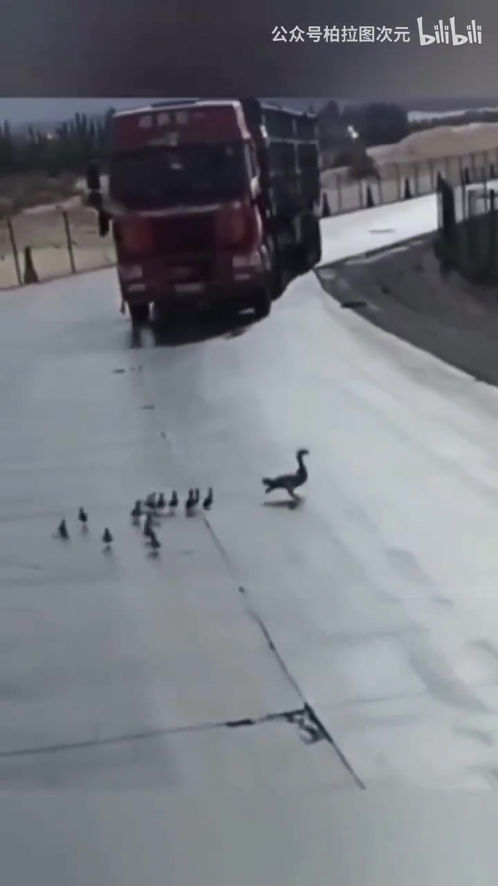 亲爱的妈妈，今晚就要远航