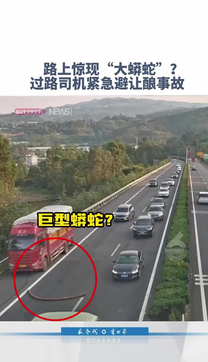 路上惊现“大蟒蛇”?多位司机紧急停车酿追尾却是......