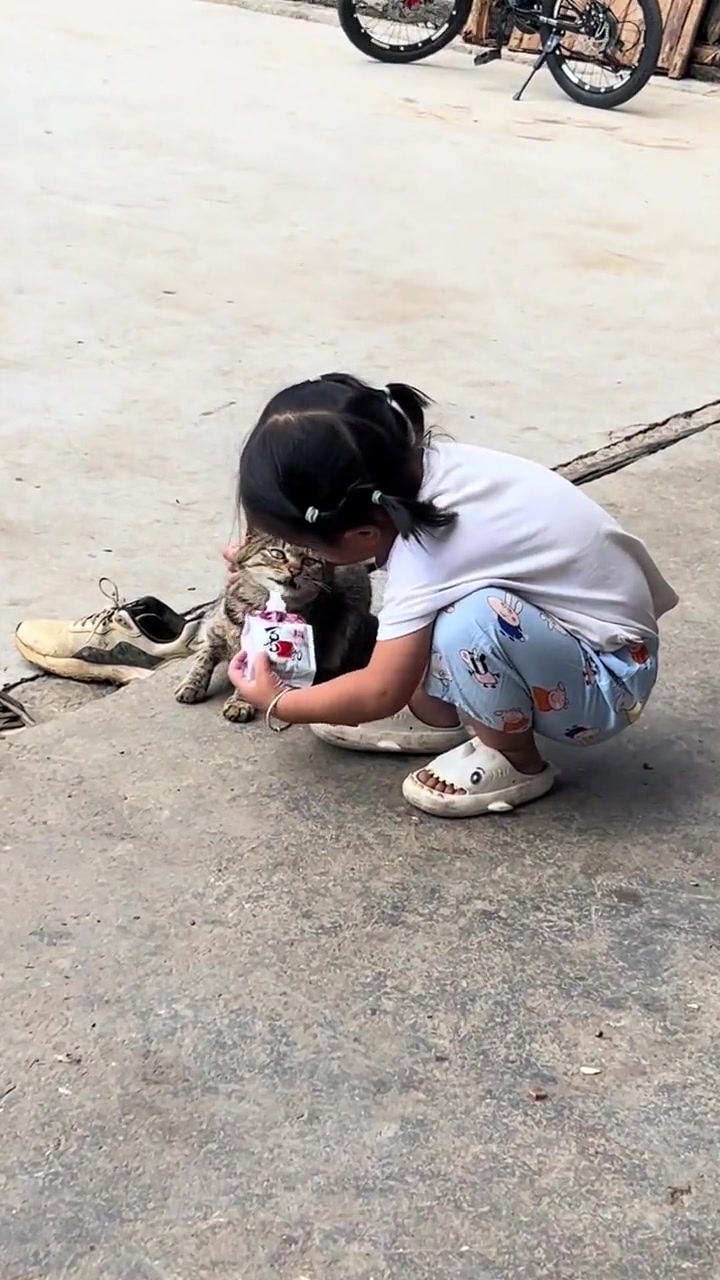 真是敬酒不吃吃罚酒