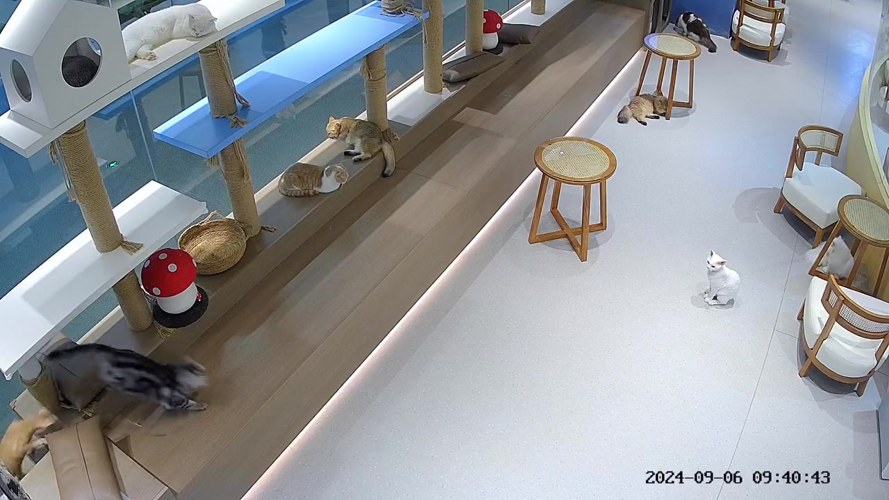 小姐姐：一个破麻绳你们也抢，让我看看怎么个事