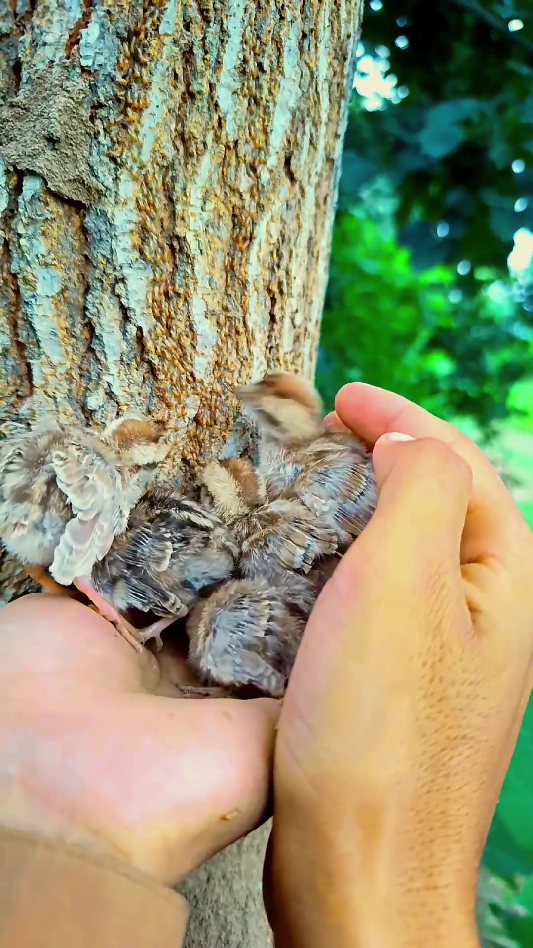 搁这儿吃自助餐呢吃爽了吧