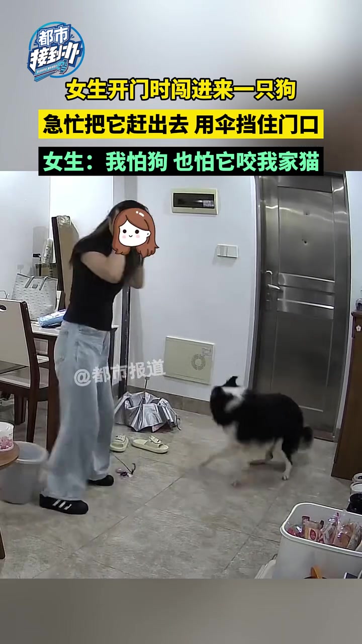 女生开门时，突然闯进来一只狗