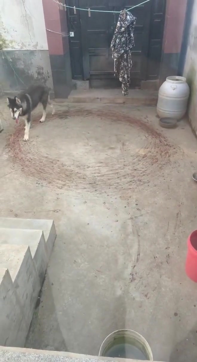 它这是什么情况有没有老哥懂的这是玉玉了