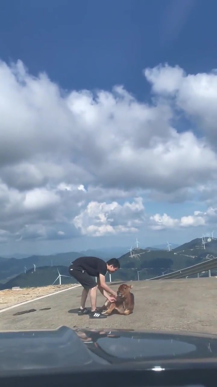 很真实！被训斥完直接躺平，感觉在照镜子！