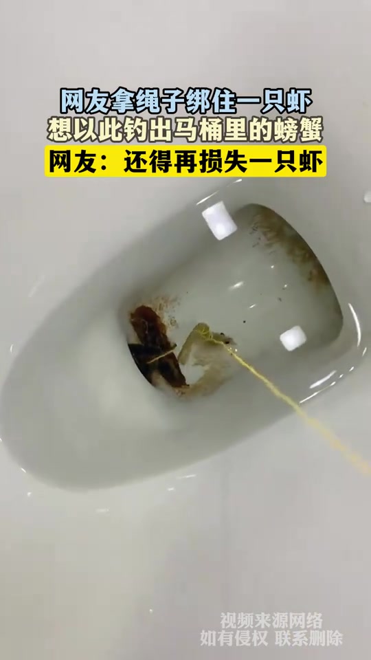 钓鱼佬在马桶也能钓鱼！