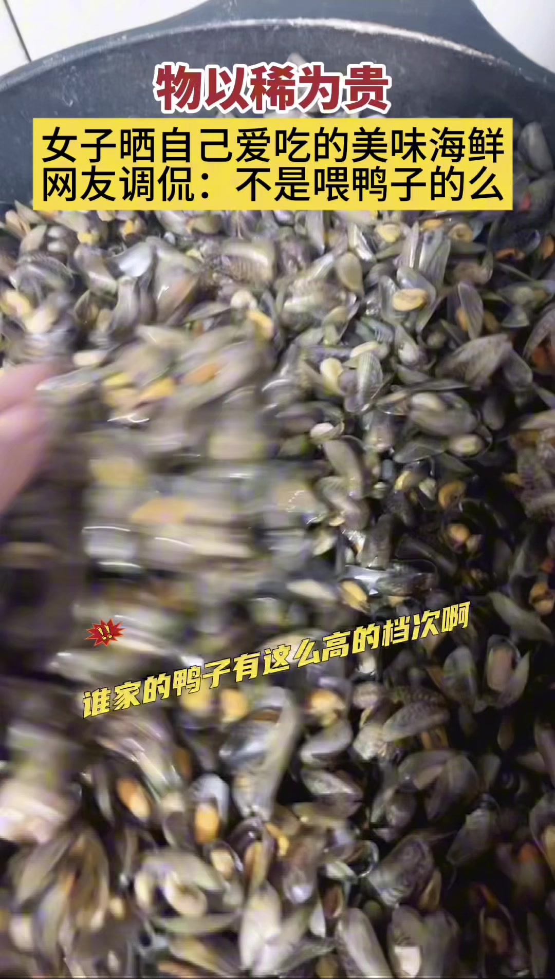 这是啥女子晒自己爱吃的海鲜遭调侃：这不是喂鸭子吃的么！