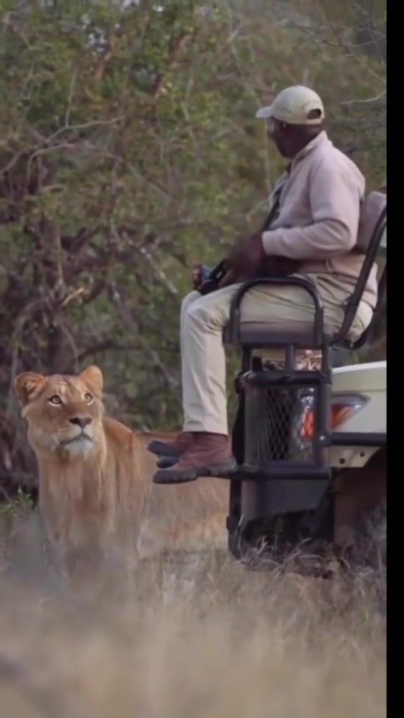 气氛多少有点尴尬啊