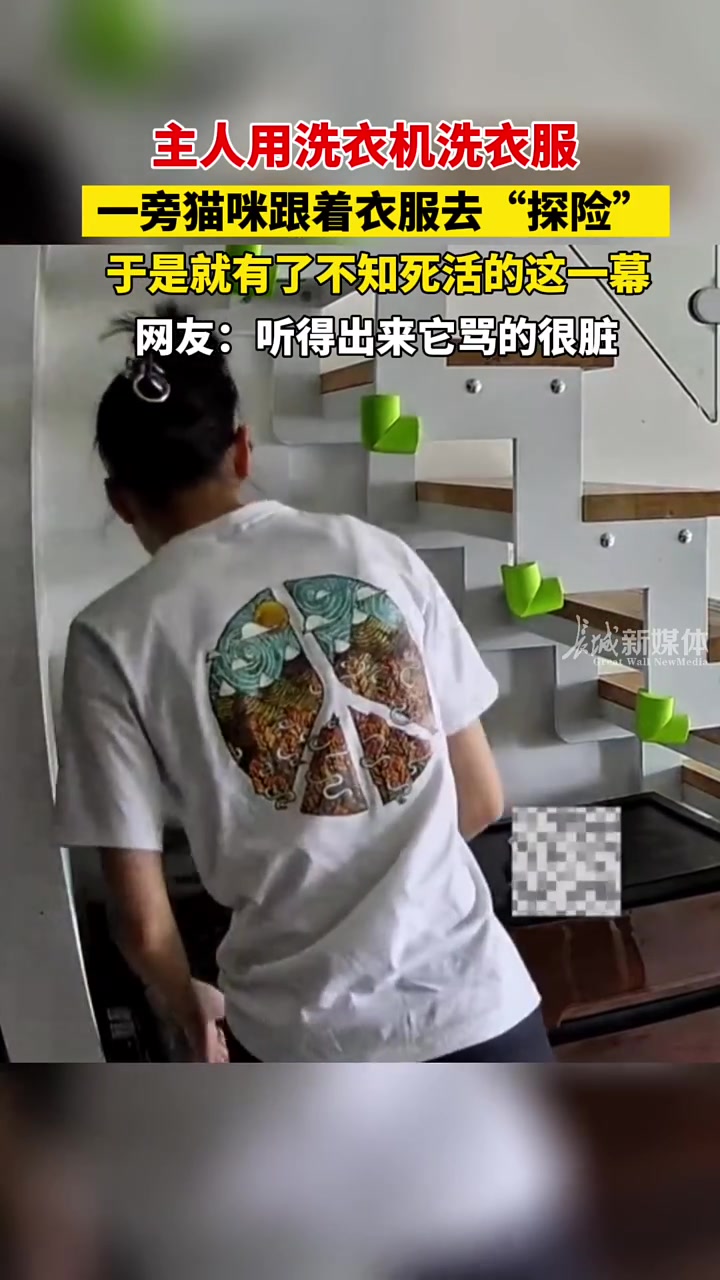 主人洗衣服，猫咪钻进洗衣机“冒险”