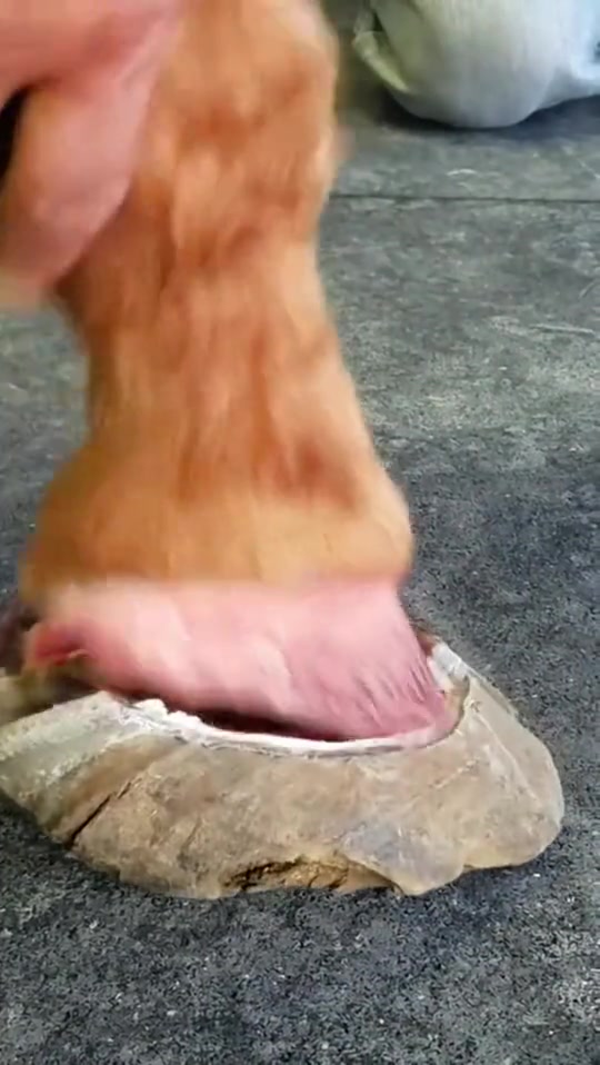 天呐！这看着都疼！