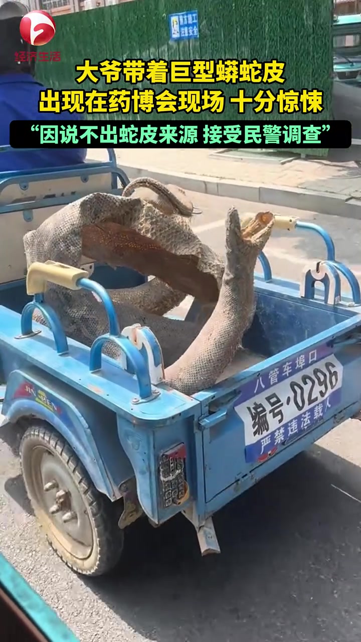 十分惊悚！大爷带着巨型蛇皮来到药博会现场！却说不出来源