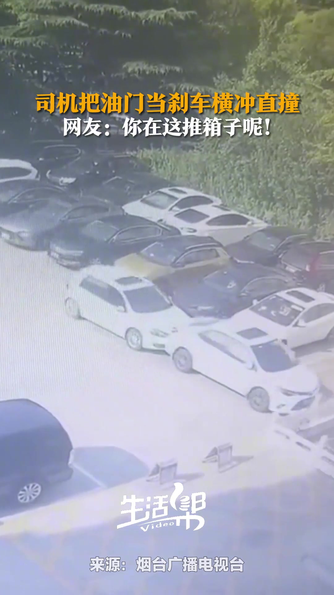 司机把油门当刹车横冲直撞先把前车拱进水池又把后车保险杠撞了