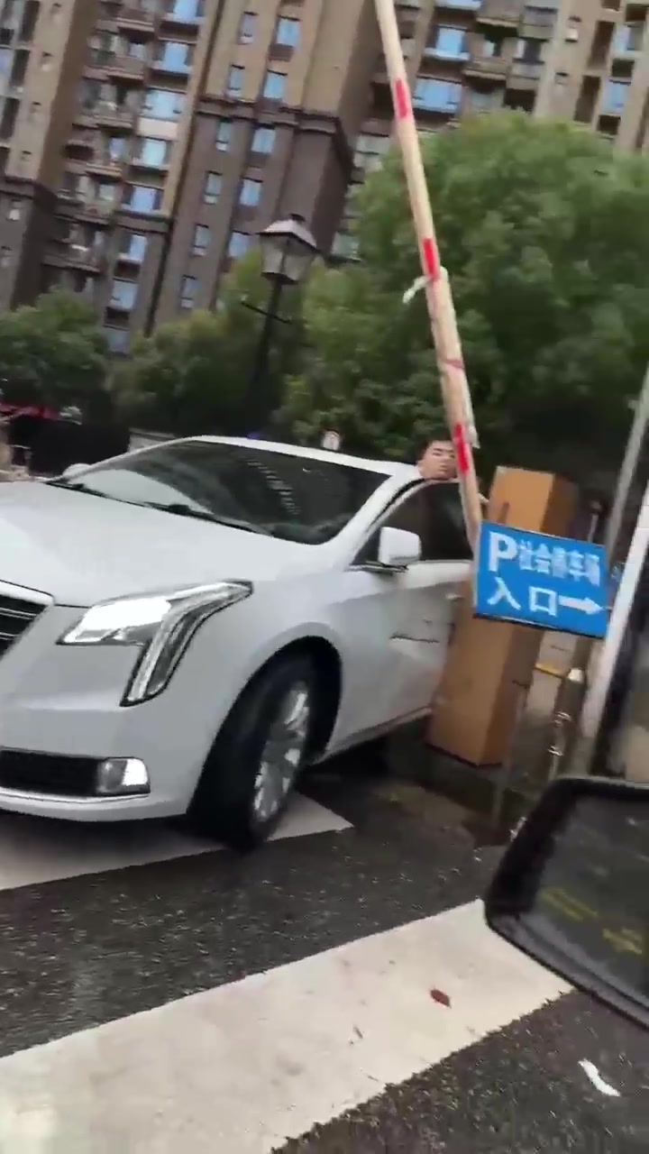 这边建议你回去重新考驾照！