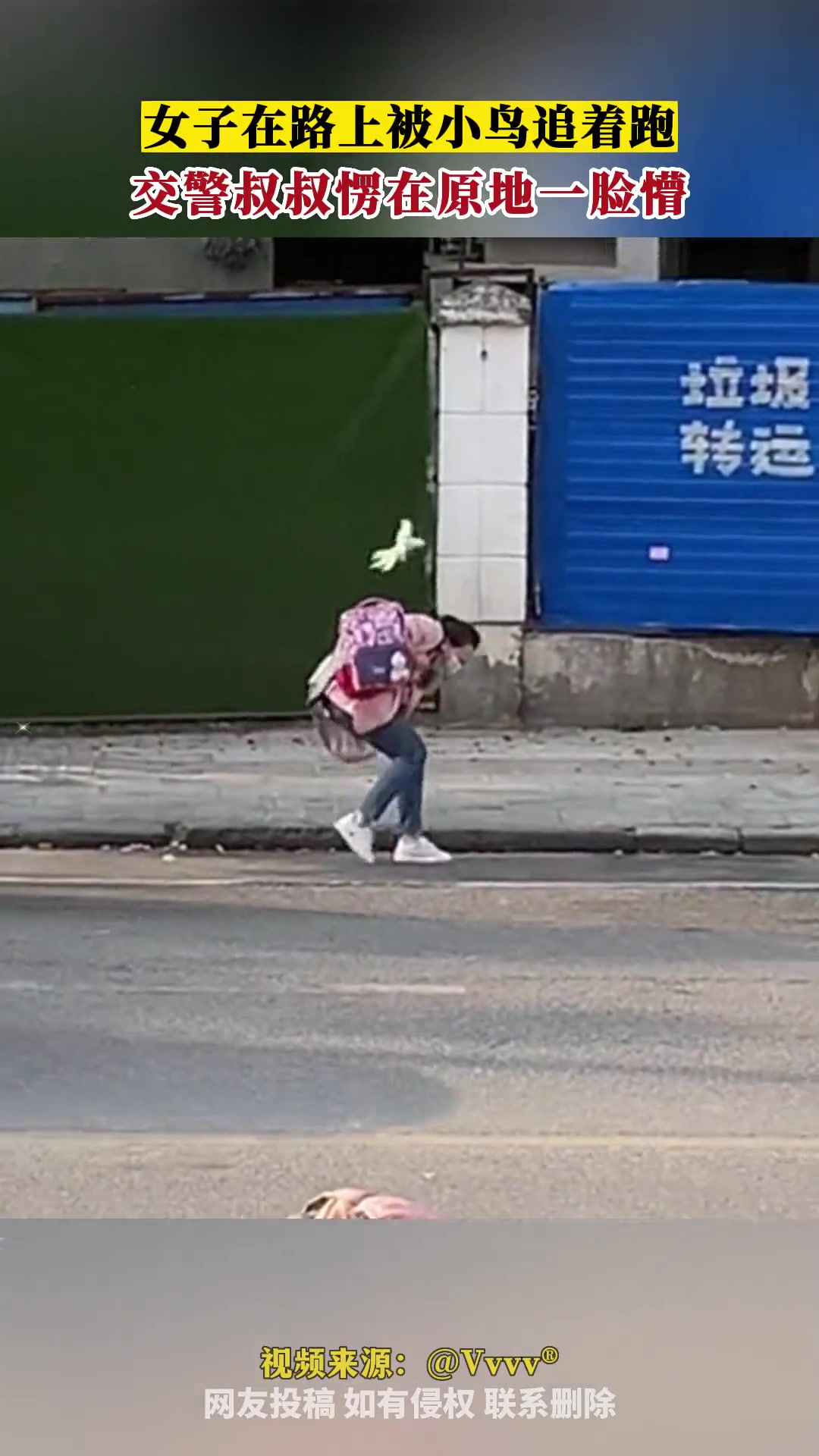 女子在路上被小鸟追着跑交警叔叔愣在原地一脸懵