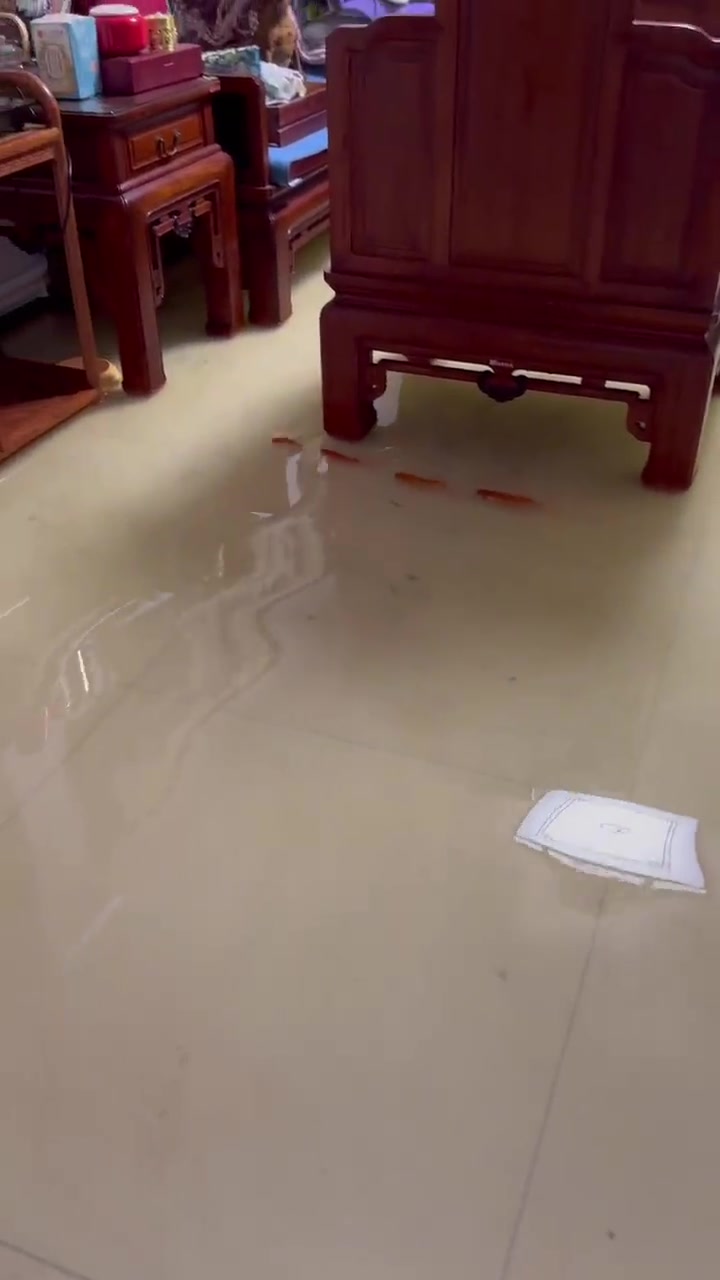 忍不住化身为一条固执的鱼！鱼也会列队前进钓鱼佬：开钓！