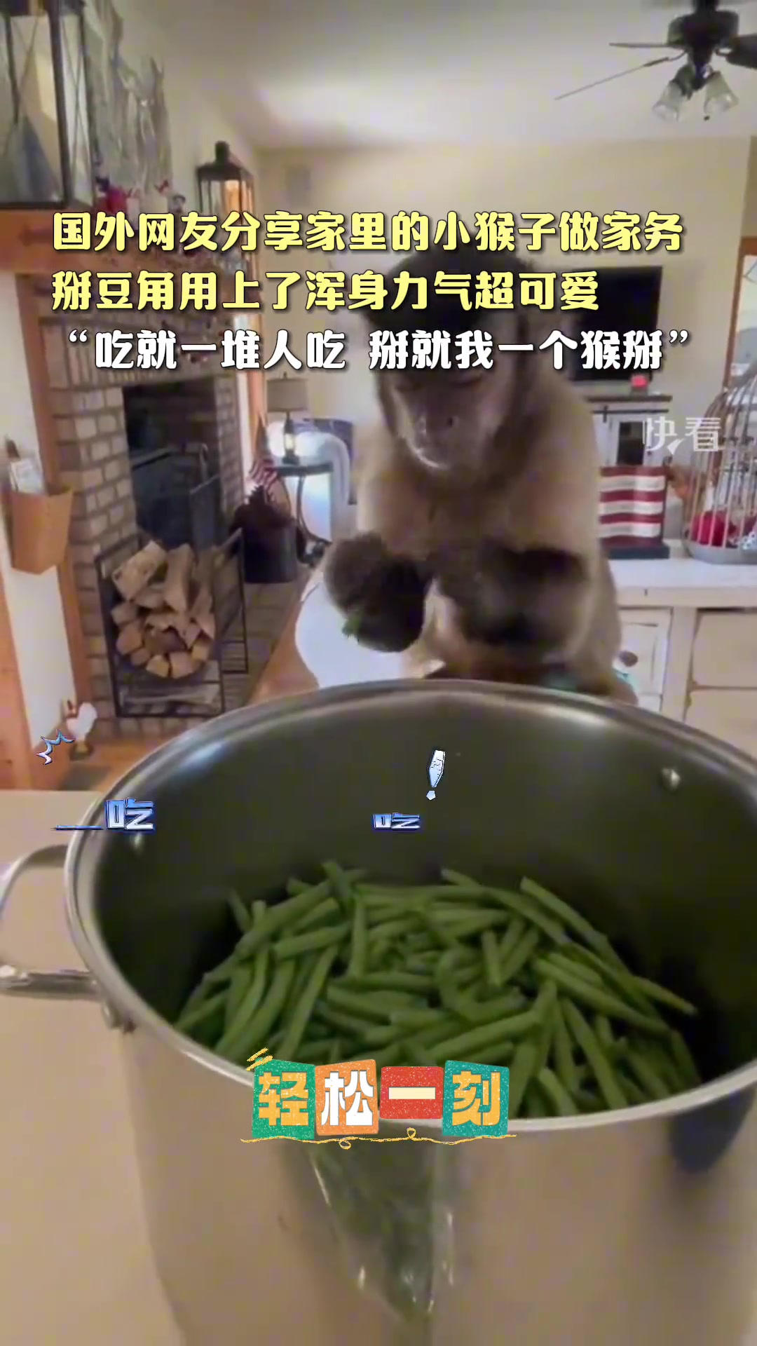 起猛了！猴子都会做家务了！