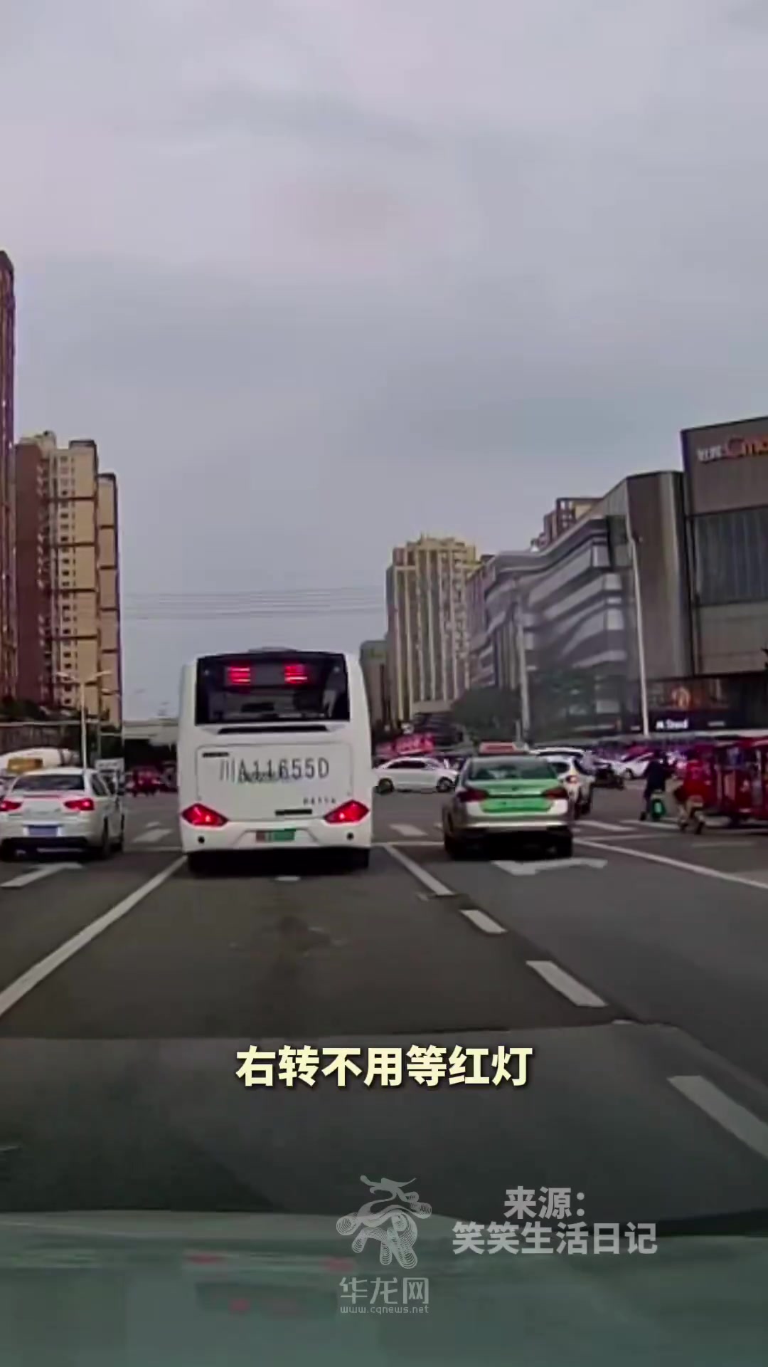 妈妈第一次独立开车紧张，5岁萌娃贴心导航安全感十足！