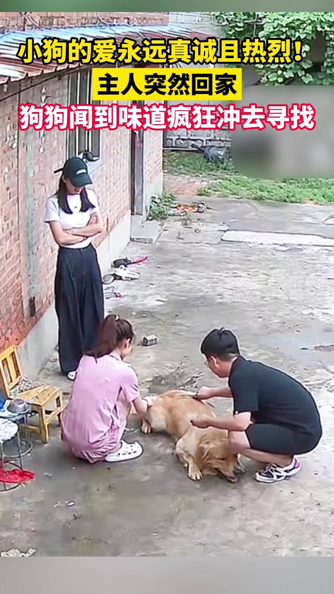 小狗的爱永远真诚且热烈！