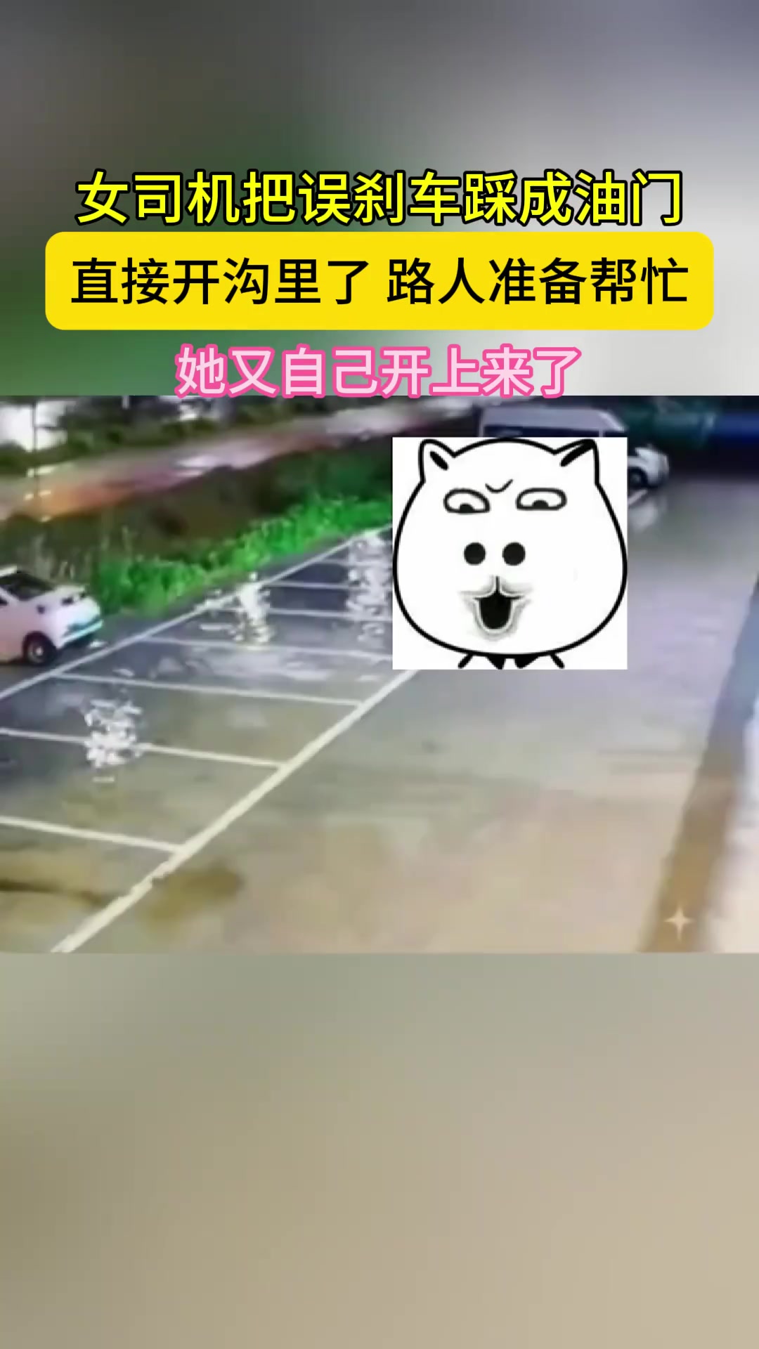 女司机把刹车踩成油门开进沟里了不料她又自己开上来了