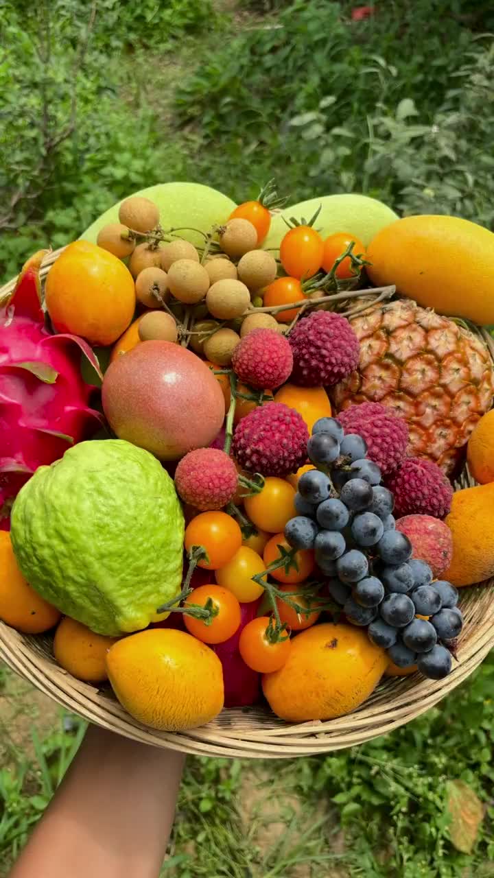 这是不是你的梦中情园我都想去摘水果了