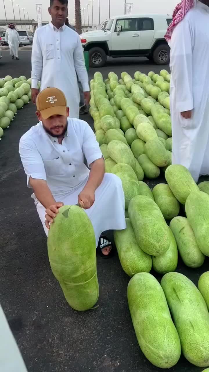 阿拉伯的西瓜究竟是西瓜劈了腿还是冬瓜出了轨