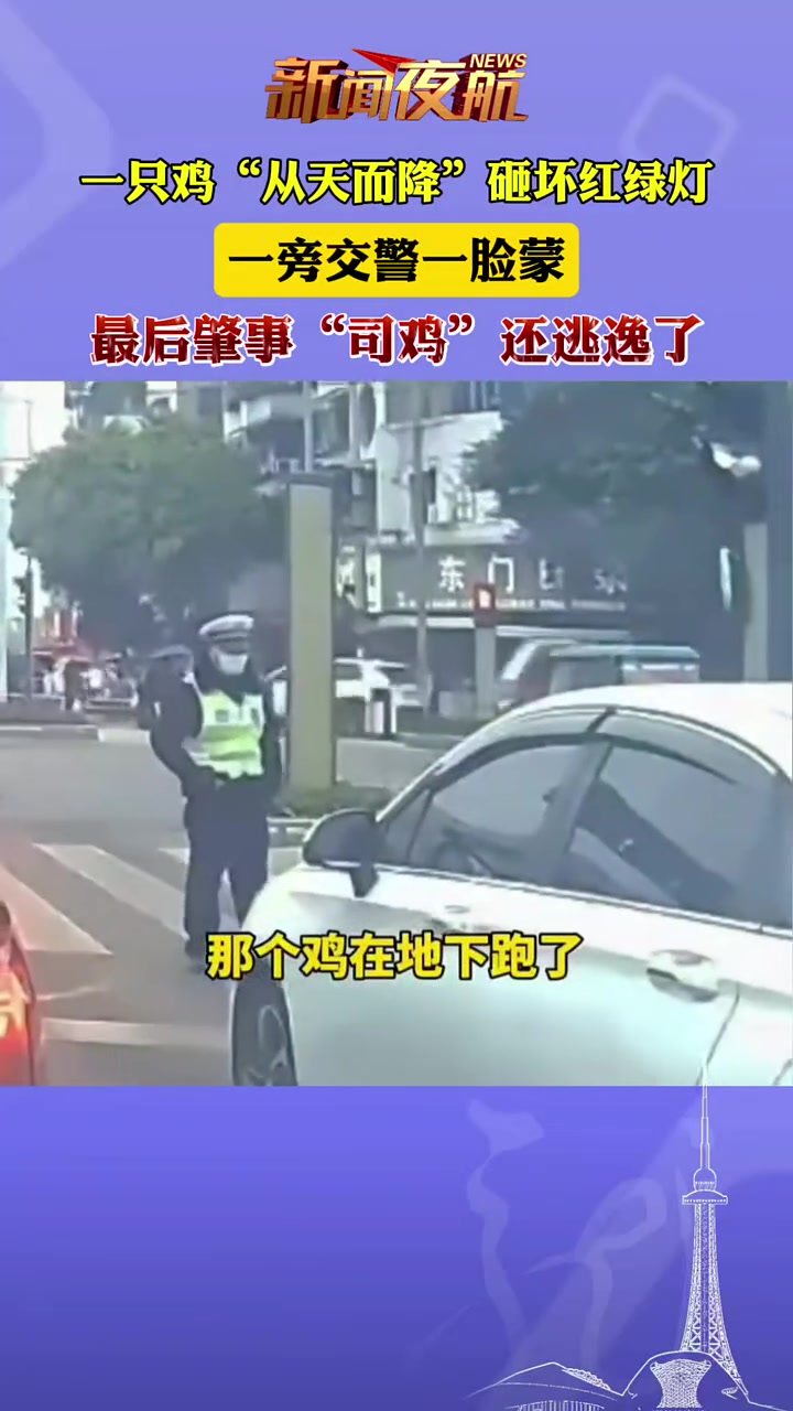 一只鸡“从天而降”砸坏红绿灯，一旁交警一脸懵，还逃逸了！