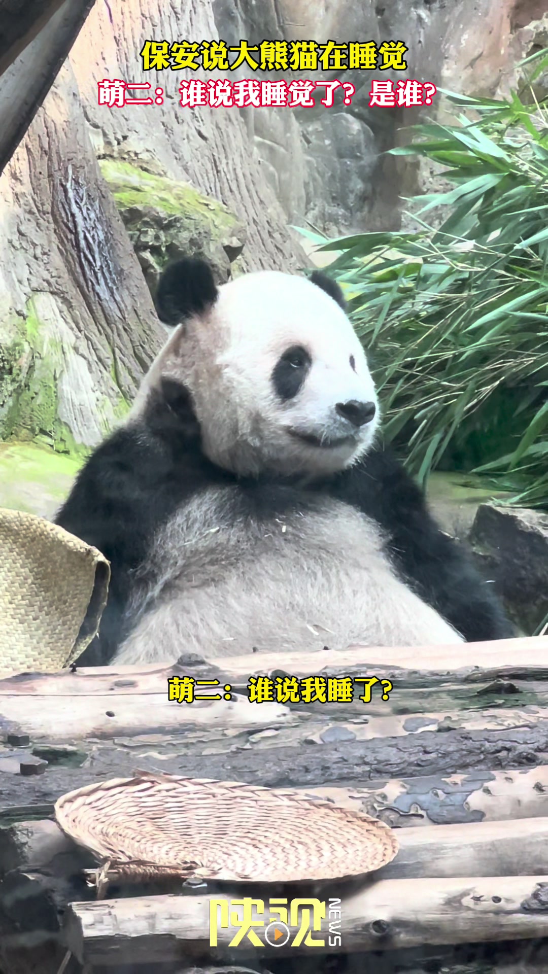 诡计多端的南通大哥幸亏我反应快，差点让你得到我！