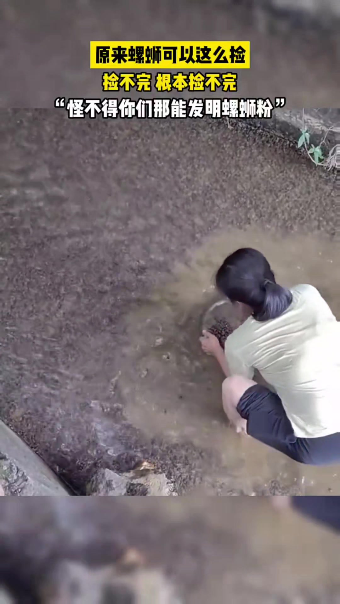 这螺蛳也太多了吧，怪不得广西那边能发明螺蛳粉！