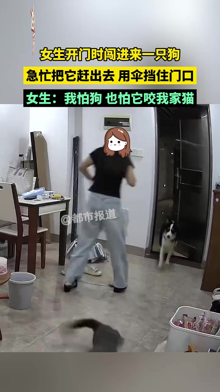 我感觉这个狗更害怕这个女的！