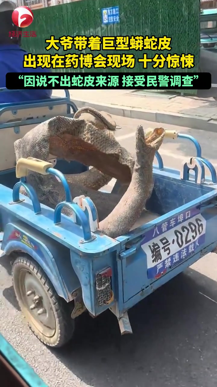 是偷猎的吗大爷带蟒蛇皮出现在药博会，因说不出来源被带走调查