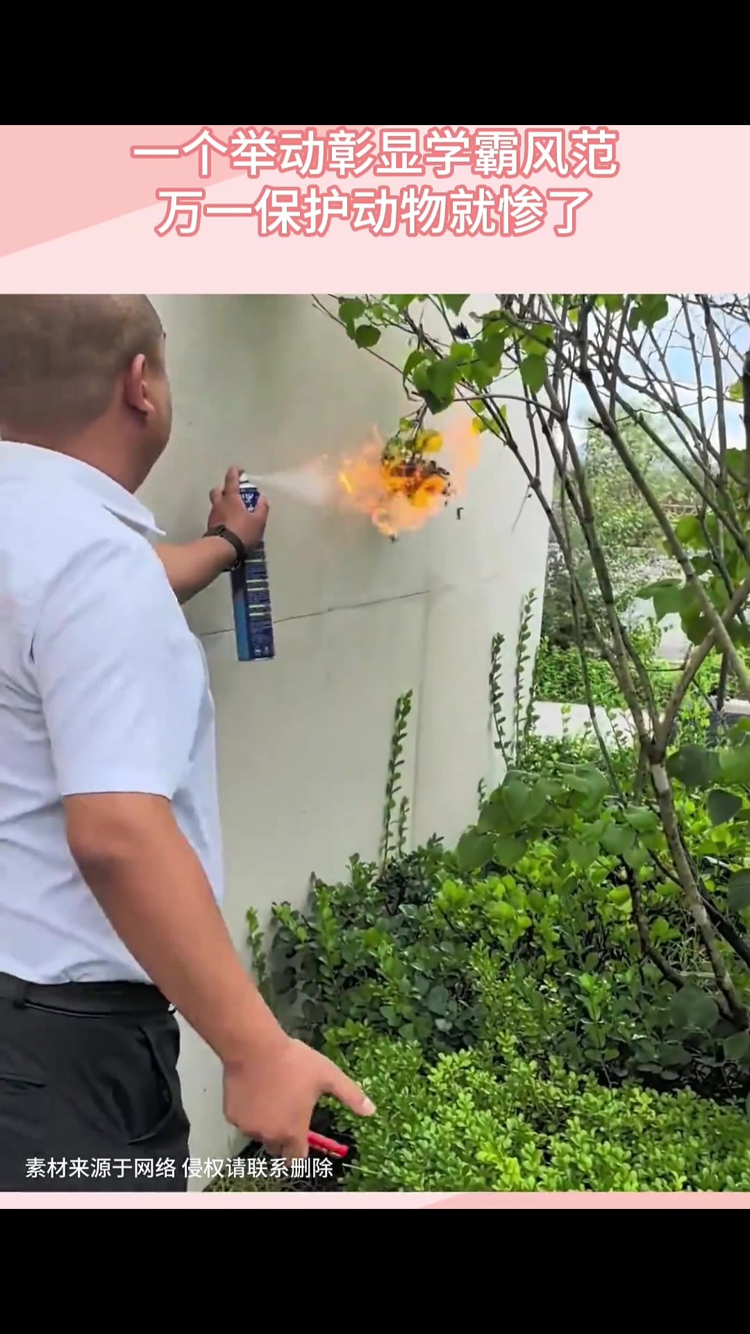 还带火焰附魔马蜂和下雨一样往下掉！