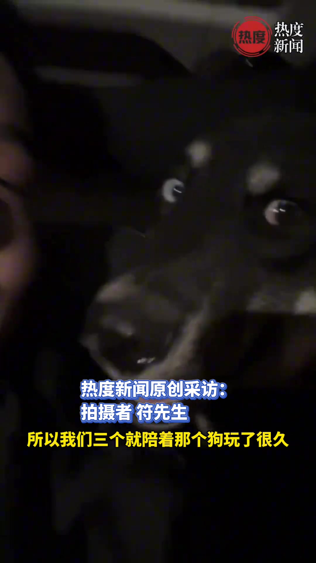 店家的狗跟顾客跑了顾客带回来老板本想感谢嘴瓢闹笑话