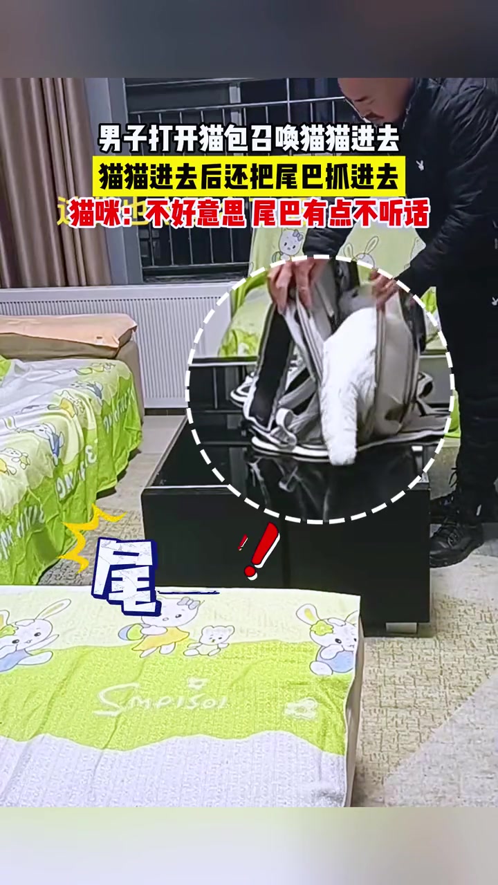 众所周知，猫咪跟它的尾巴不熟！