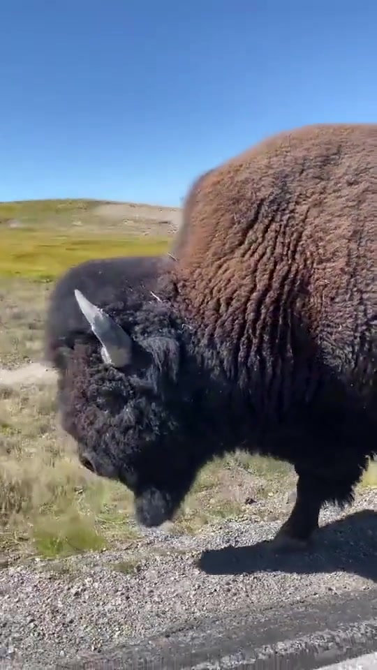 被它撞一下不得青一块紫一块