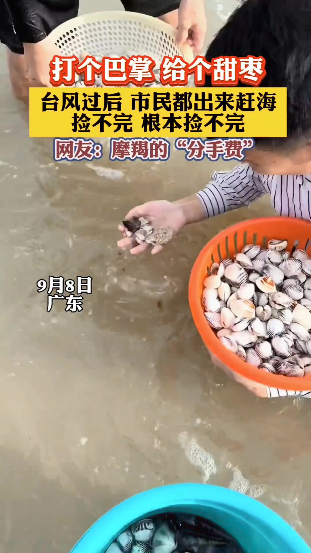 分手费！台风过后赶海分分钟爆桶，捡不完根本捡不完！