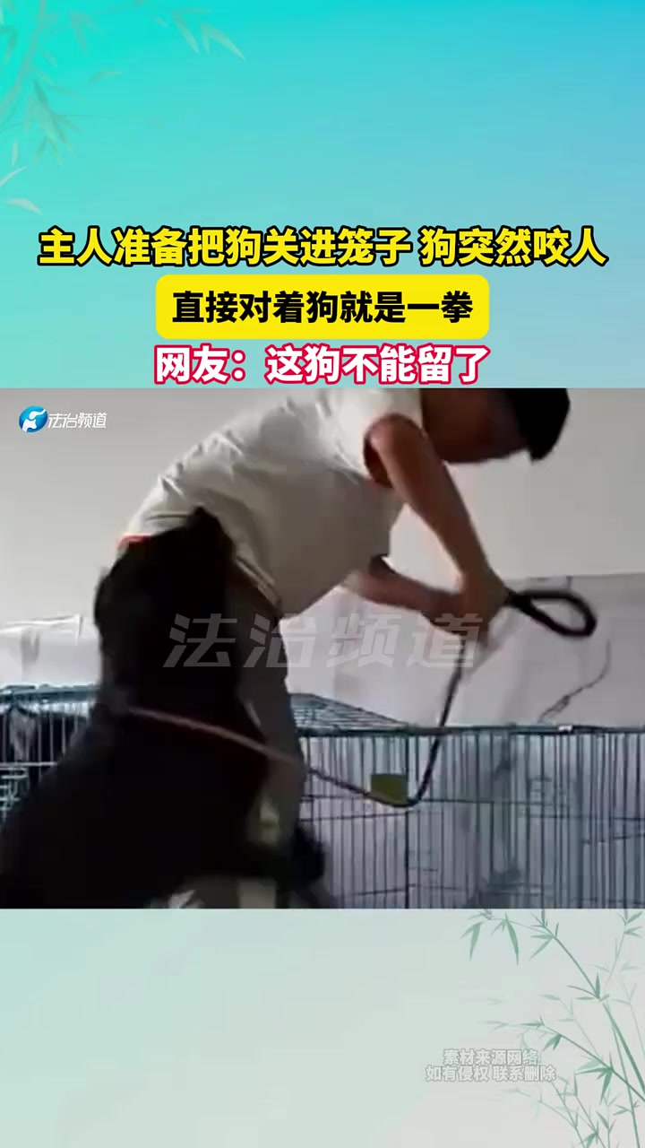 主人准备把狗关进笼子，狗突然咬人，直接对着狗就是一拳！