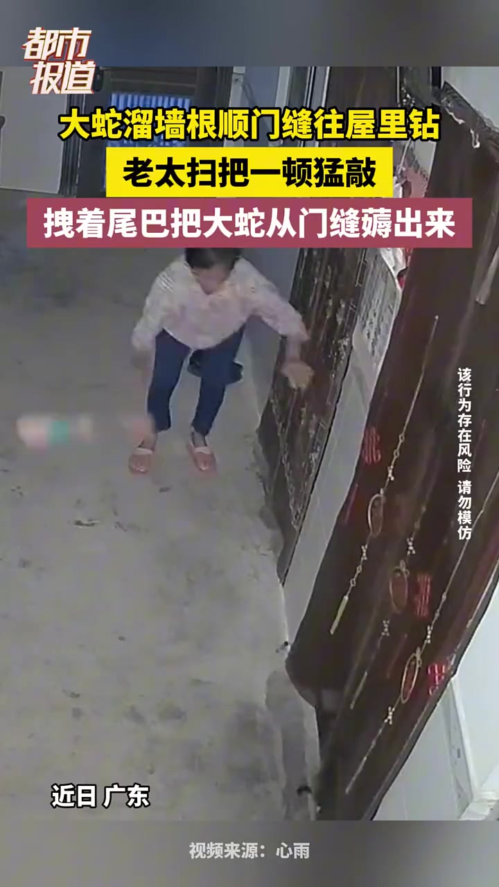 蛇开局就送100连抽