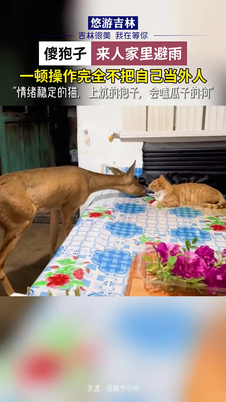 没点技术活都玩不到一起