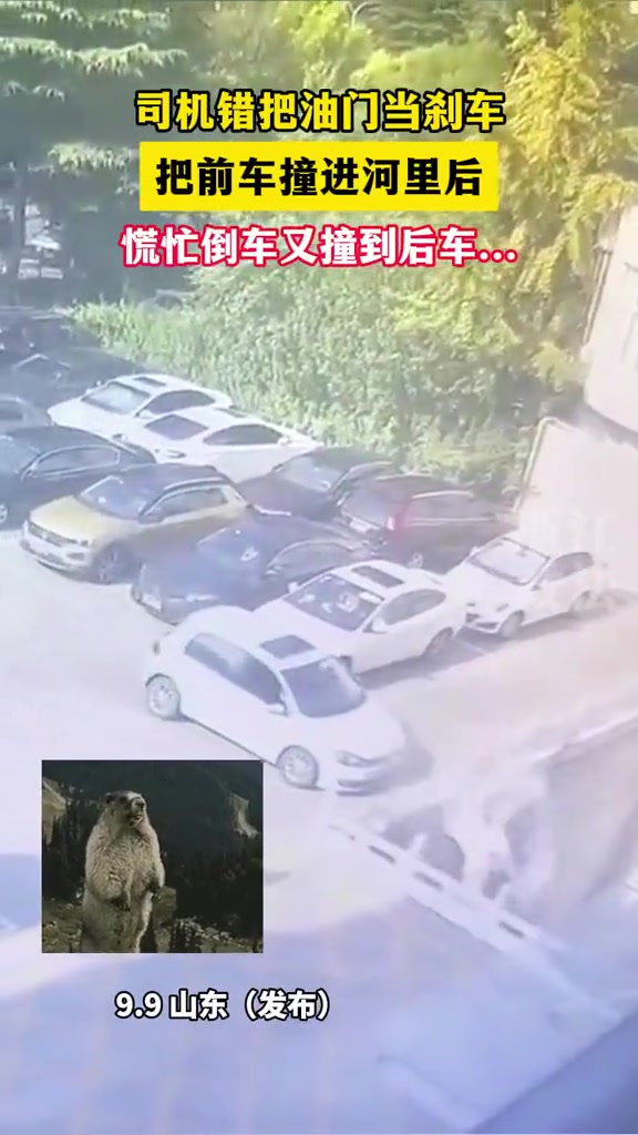 司机错把油门当刹车，把前车撞进河里，又撞到后车！