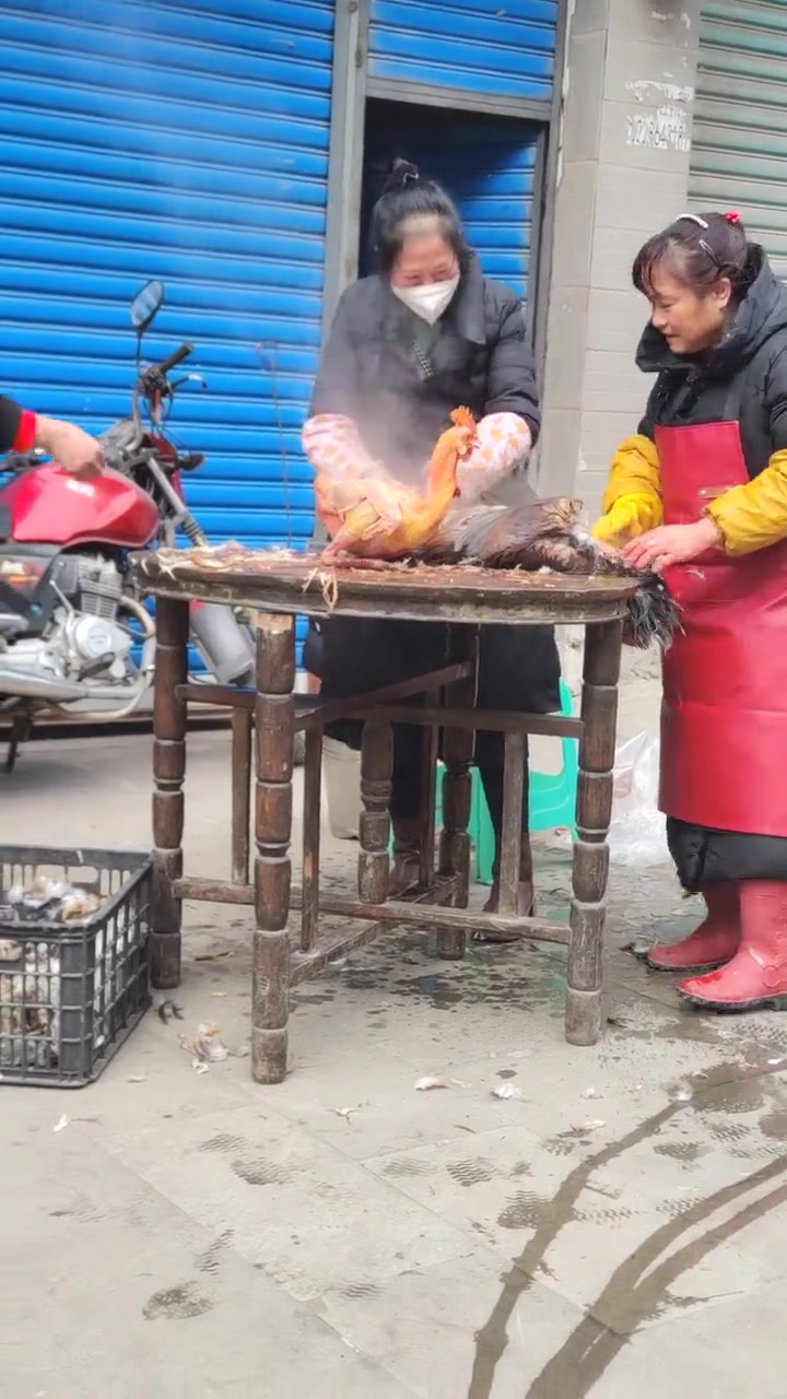 不是！这毛是怎么拔的啊