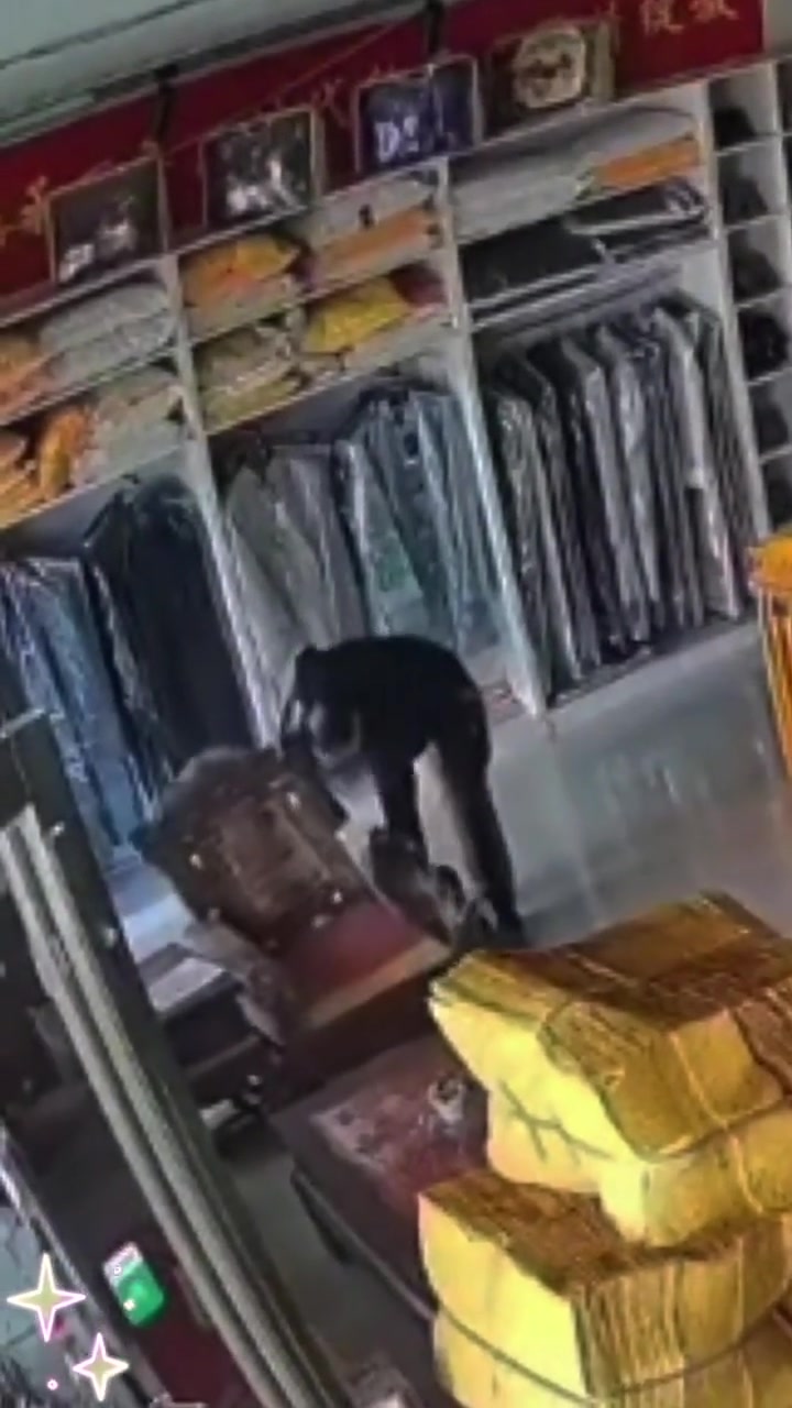 他们收到还得修半天！