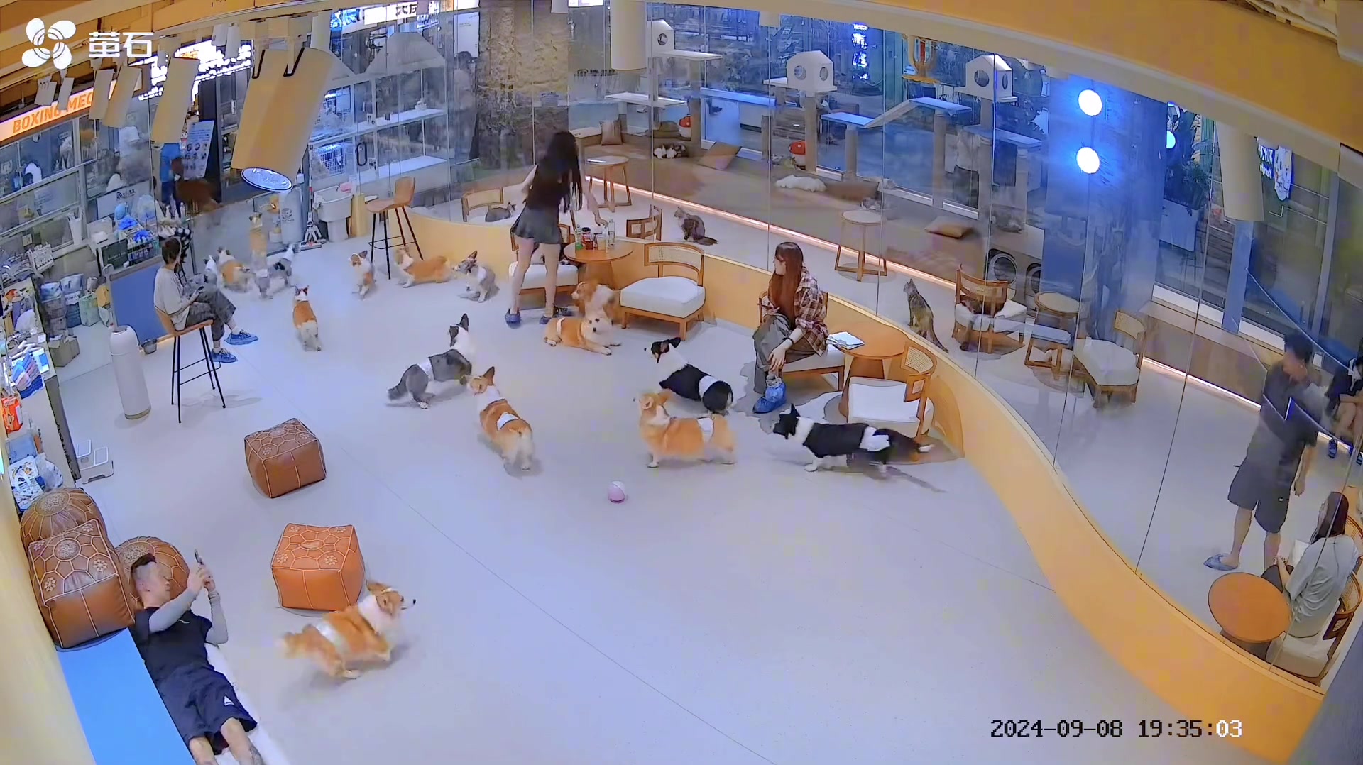 黑长直算什么看都不看一眼...