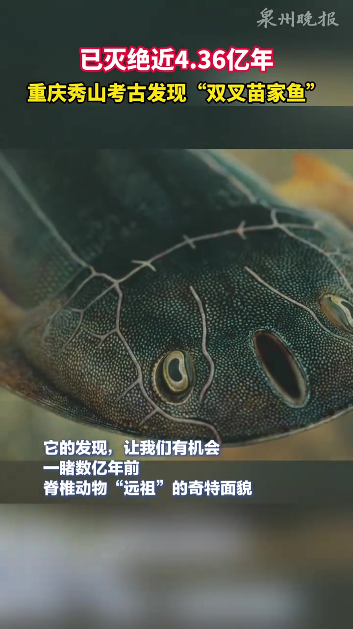 已灭绝近4.36亿年！重庆秀山考古发现“双叉苗家鱼”