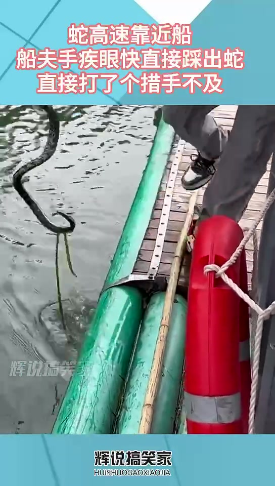 这反应速度简直了，换成我应该已经吓的飞起来了