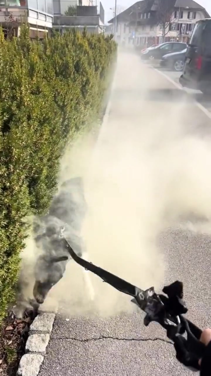 哮天犬被二郎神牵着这真像是天狗下凡啊！