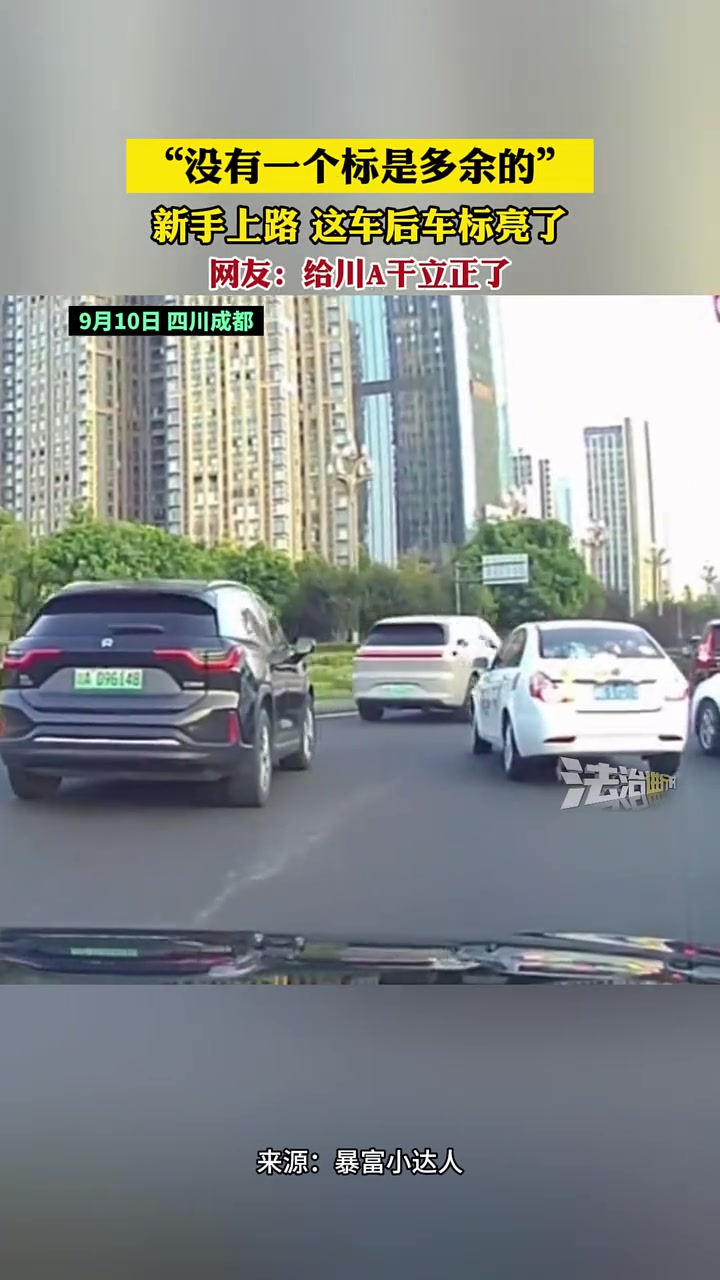 “没有一个标是多余的”新手上路这车后车标亮了！