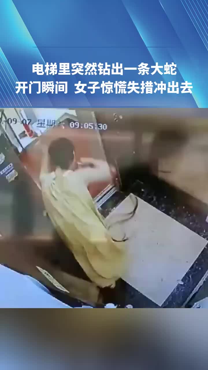电梯里突然钻出一条大蛇，开门瞬间女子惊慌失措冲出去！